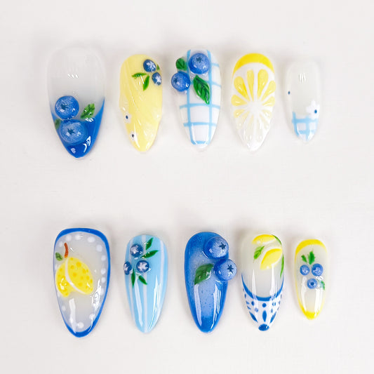 Blueberry Lemon Fruit Nail Art Press On Nails Summer Set