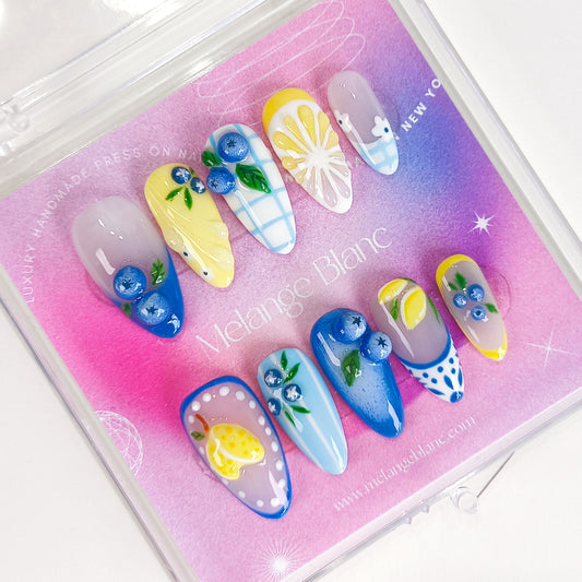 Blueberry Lemon Fruit Nail Art Press On Nails Summer Set
