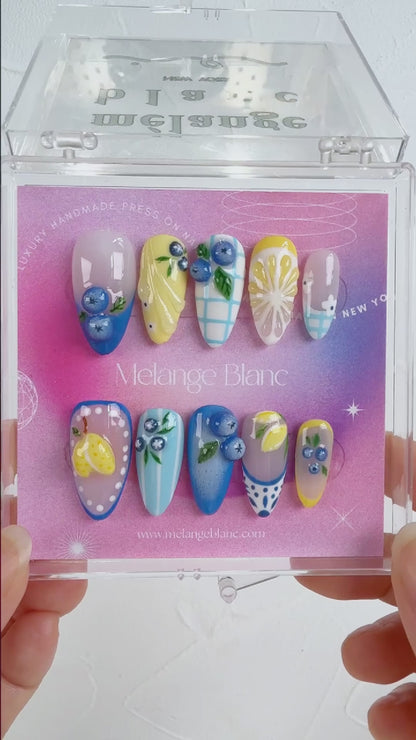Blueberry Lemon Fruit Nail Art Press On Nails RTS PO140