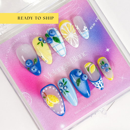 Blueberry Lemon Fruit Nail Art Press On Nails RTS PO140